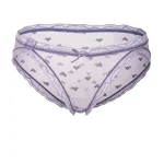 girl-panties-heart-shaped-mesh-panty-1 panties for women