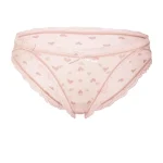 girl-panties-heart-shaped-mesh-panty-4 panties for women