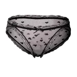 girl-panties-heart-shaped-mesh-panty-7 panties for women