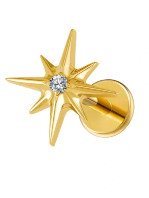 eight-pointed-ziron-titanium-alloy-ear-lip-studs-1 body piercing jewellery