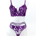 teddy-lingerie-mesh-embroidered-underwear-set-9 lingerie teddy