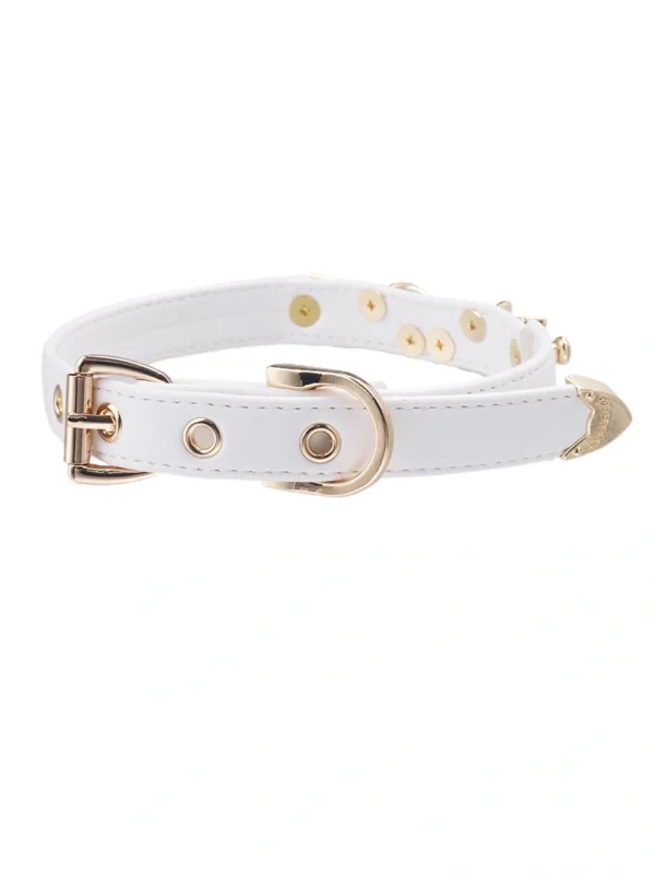 luxury-leather-gethic-choker-3 gethic collar