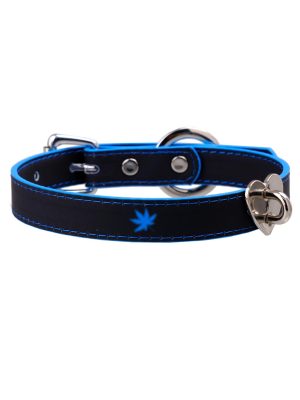 discolor collar