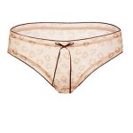 girl-panty-cute-girl-1 mesh panties