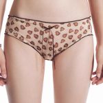 girl-panty-cute-girl-2 mesh panties