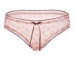 girl-panty-cute-girl-5 mesh panties