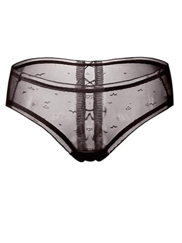 girl-panty-perspective-mesh-1 women panties