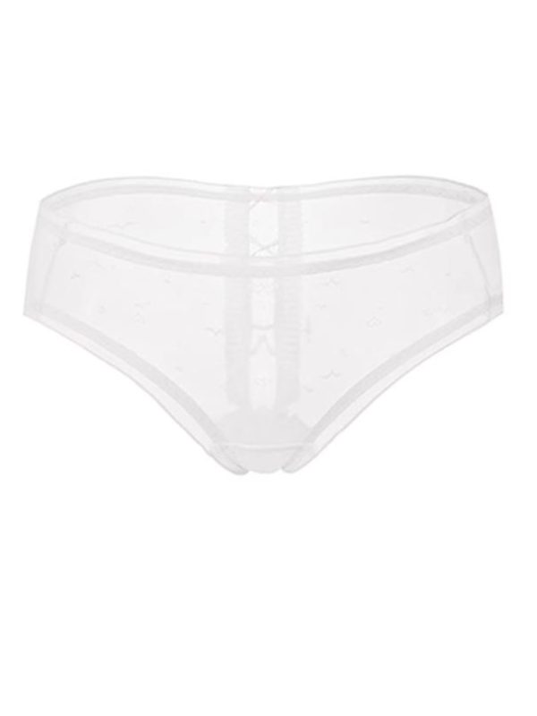 girl-panty-perspective-mesh-4 women panties