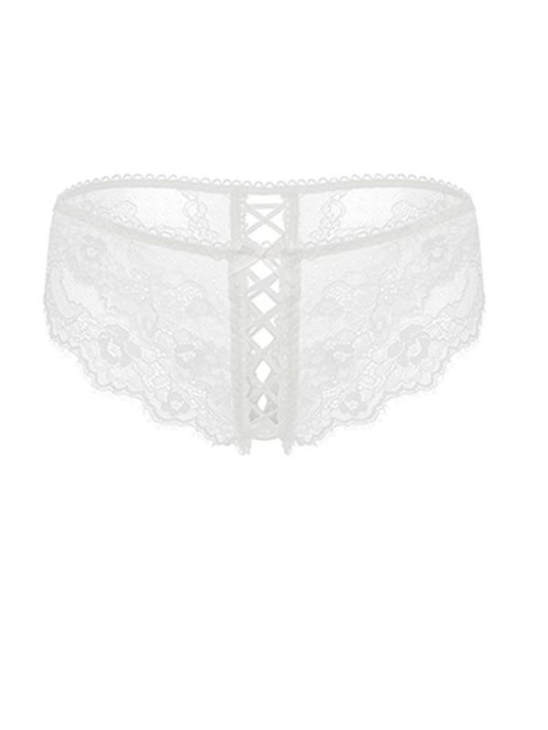 girl-panty-private-garden-6 lace panties